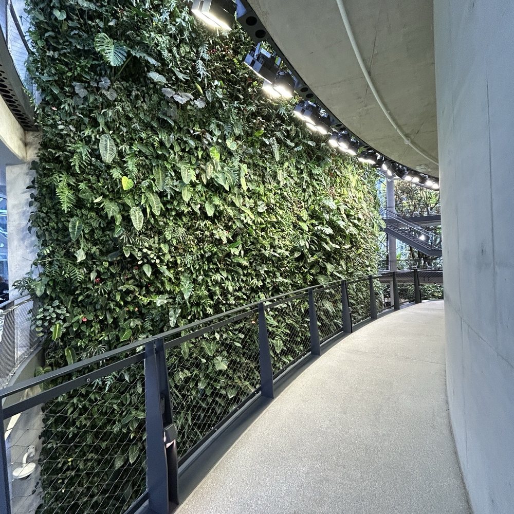 Amazon Spheres - Botanical Gardens Near Me - Seattle, Washington