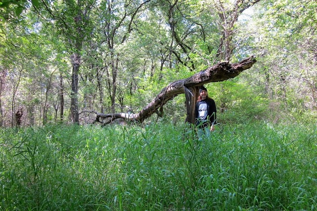 Texas Buckeye Trail Image
