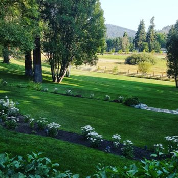 LCL Landscaping - a lush green lawn with white flowers - Landscaping Near Me LCL Landscaping - a lush green lawn with white flowers - Landscaping Near Me
