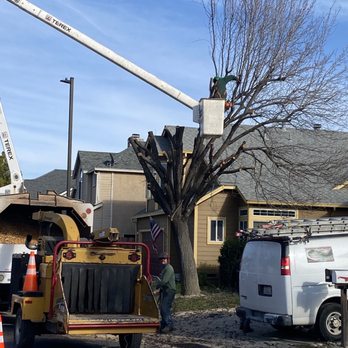 Valley Falls Tree Care - Tree Services Near Me