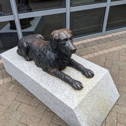 Statue of Rover - Statue of Rover at Hartford Hospital