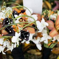 Bridgee Bees Floral Creations