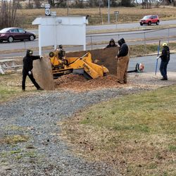 Kenny Jenkins Tree Service & Landscaping - Grinding Stump