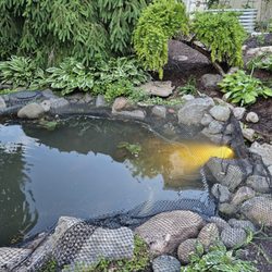 Oasis Pond