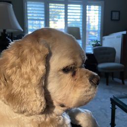 Cooper Cooper