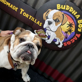 Buddha Boy Tacos - El Buddha Boy, representing his tasty keep. - Tacos Near Me Buddha Boy Tacos - El Buddha Boy, representing his tasty keep. - Tacos Near Me