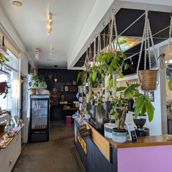 Ultreya Coffee and Tea - Coffee & Tea Near Me - San Diego, California Ultreya Coffee and Tea - Coffee & Tea Near Me - San Diego, California
