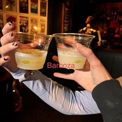 user provided Barboza photo