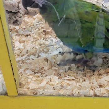 Exotic Tropical Pet World - Local Fish Stores Near Me - McAllen, Texas
