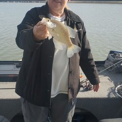 Brookville Lake - We catch our share of crappie here