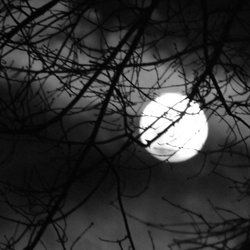 Ghosts Murders & Mayhem Walking Tours
