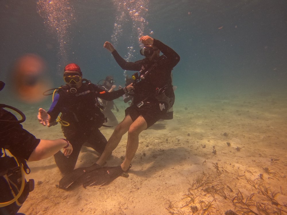 Aqua Marine Dive Boat Logo