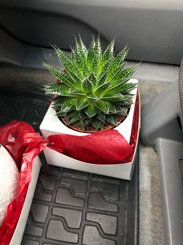 BROOKSIDE GARDEN CENTER & FLORIST Updated September 2024 23 Photos