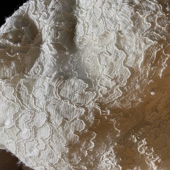 Bridal Palace Bellevue - Lint balls stuck to lace - Bridal Near Me - Bellevue, Washington