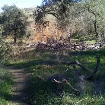 Hollenbeck Canyon Wildlife Area - Remnants of the wildfires - Hiking Near Me - Jamul, California