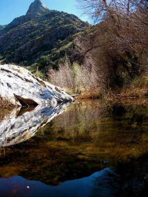Catalina State Park by null