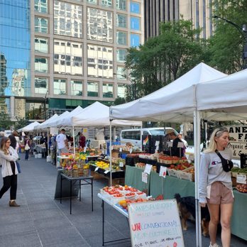 SOAR Farmers Market - Farmers Market Near Me - Chicago, Illinois