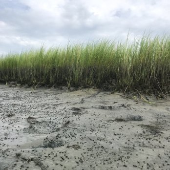 Coastal Expeditions - Tours Near Me - Mount Pleasant, South Carolina