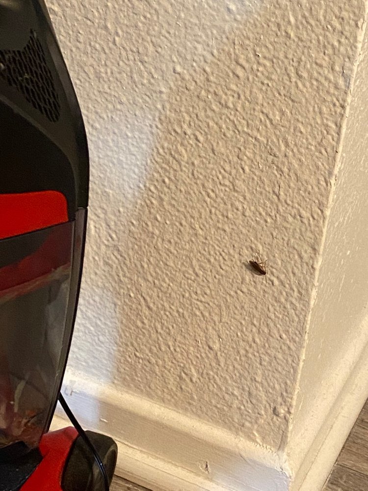 CORDOVA PARK APARTMENT HOMES Updated October 2024 75 Photos & 41