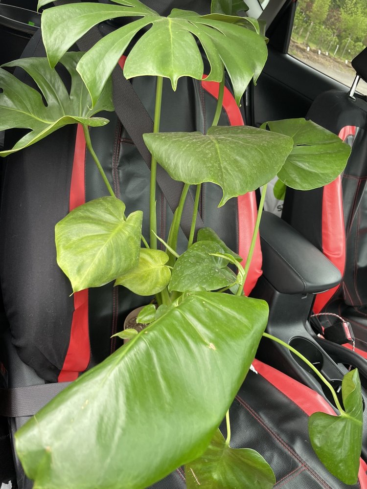 CANTON ROAD GARDEN CENTER Updated August 2024 1881 Canton Rd, Akron