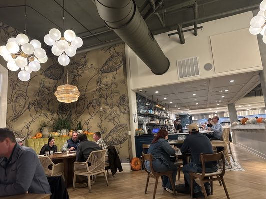 Thorny Oyster by null