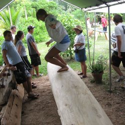 The Surf Professor - Hands-On Hawaiian Surfboard Carving Clinics too!