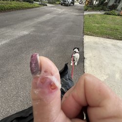 Sun City Nails - 10 days after