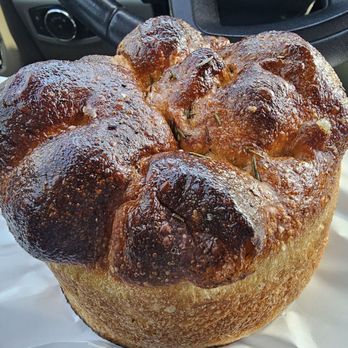 Quail and Condor - Coffee & Tea Near Me - Healdsburg, California Quail and Condor - Coffee & Tea Near Me - Healdsburg, California