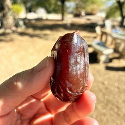 San Marcos Date Farm - King of Dates- Medjool Date