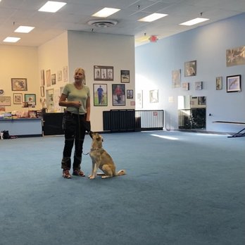 Quality K-9 - Pet Training Near Me Quality K-9 - Pet Training Near Me