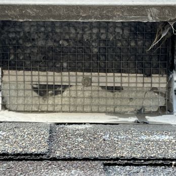 Aalps Dryer Vent Cleaning - Before -- notice the grate is holding in all the lint that's STUCK - Air Duct Cleaning Near Me