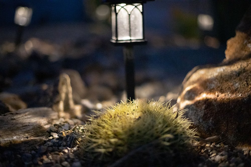 Abraxas's Landscaping