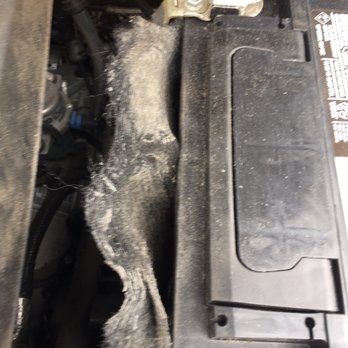 Pep Boys - Battery installation was torn need a new one from the dealer - Auto Repair Near Me - Van Nuys, California