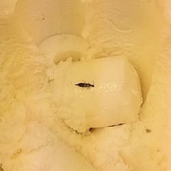 Rite Aid - Found in Rite Aid ice cream barrel 5/1/11