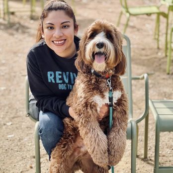 Revival Dog Training - Pet Training Near Me - Houston, Texas Revival Dog Training - Pet Training Near Me - Houston, Texas