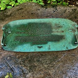 Eloise Butler Wildflower Garden and Bird Sanctuary