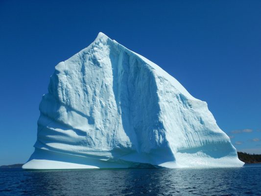 Iceberg Quest Ocean Tours by null