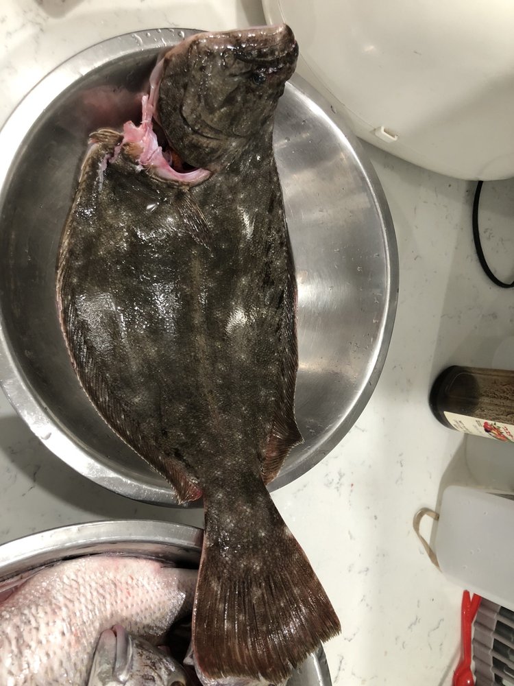 NEAT LADY FISHING Updated September 2024 20 Photos 184 Onset Ave