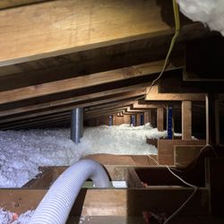 Green Attic