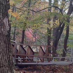 Twin Lakes Rv Park - Junk by the walking trail
