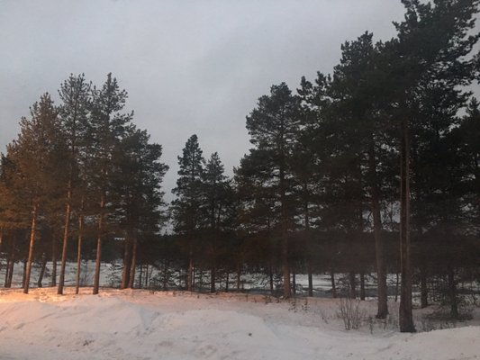Tradition Hotel Kultahovi by null