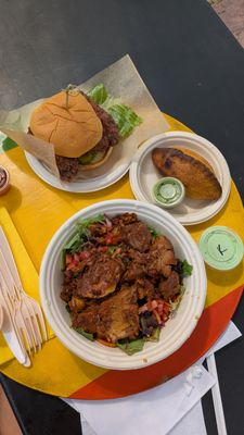 Bolivian Llama Party by null