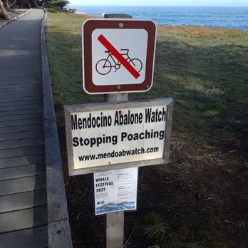 MacKerricher State Park - Parks Near Me - Fort Bragg, California MacKerricher State Park - Parks Near Me - Fort Bragg, California