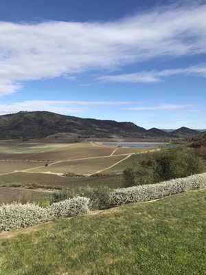 Antinori Napa Valley by null