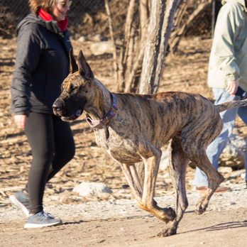 Bar K - Dog Parks Near Me - Kansas City, Missouri