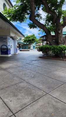 Kings' Shops by null