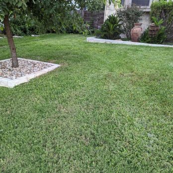 Hunter Sprinklers - Front yard not a sign of the work. This is about 2 months later. They also dug under my masonry work to install the driplines. Zero damage. - Landscaping Near Me - Cedar Park, Texas