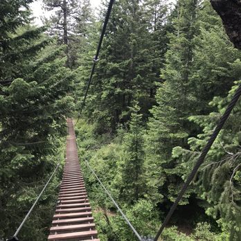 Mica Moon Zip Tours - Tours Near Me - Liberty Lake, Washington Mica Moon Zip Tours - Tours Near Me - Liberty Lake, Washington