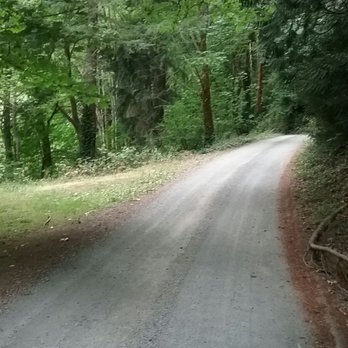 Samish Park - The road less traveled - Parks Near Me - Bellingham, Washington Samish Park - The road less traveled - Parks Near Me - Bellingham, Washington