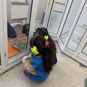 Pasadena Humane - Animal Shelters Near Me - Pasadena, California